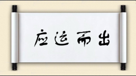 应运而出图片