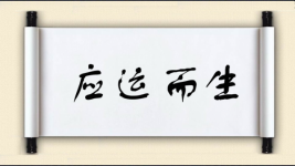 应运而生图片