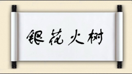 银花火树图片