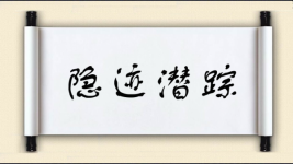 隐迹潜踪图片