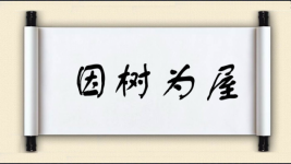 因树为屋图片