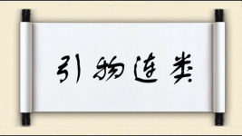 引物连类图片