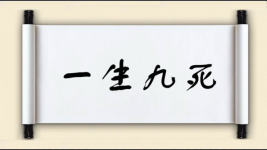 一生九死图片