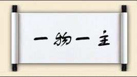 一物一主图片