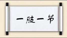 一肢一节图片