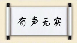 有声无实图片