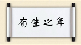 有生之年图片
