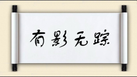 有影无踪图片