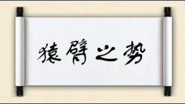 猿臂之势图片