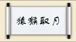 猿猴取月图片