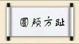 圆颅方趾图片