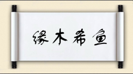 缘木希鱼图片