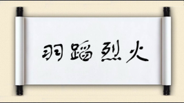 羽蹈烈火图片