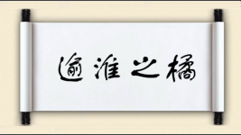 逾淮之橘图片