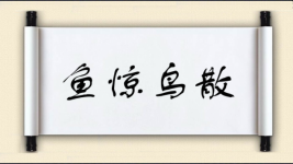 鱼惊鸟散图片