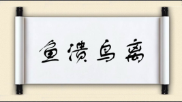 鱼溃鸟离图片