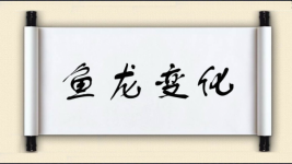 鱼龙变化图片