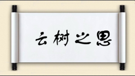 云树之思图片
