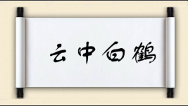 云中白鹤图片