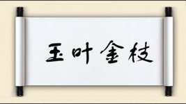 玉叶金枝图片
