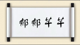 郁郁芊芊图片
