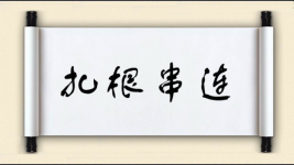 扎根串连图片