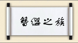 簪缨之族图片