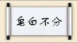 皂白不分图片