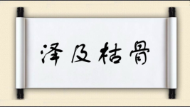 泽及枯骨图片