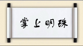 掌上明珠图片