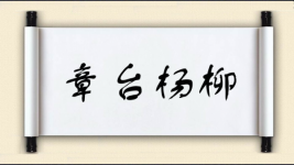 章台杨柳图片