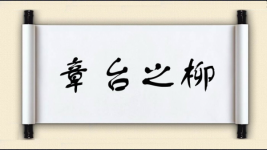 章台之柳图片