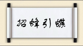 招蜂引蝶图片