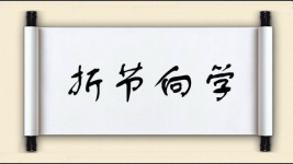 折节向学图片