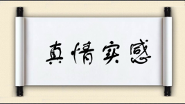 真情实感图片