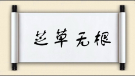 芝草无根图片