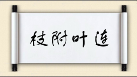 枝附叶连图片