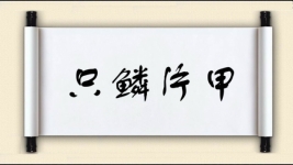 只鳞片甲图片