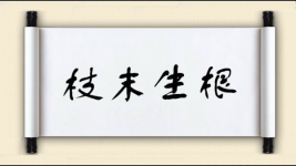 枝末生根图片
