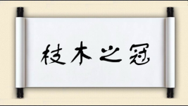 枝木之冠图片