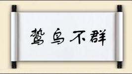 鸷鸟不群图片