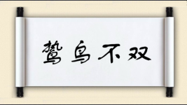 鸷鸟不双图片