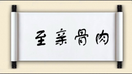 至亲骨肉图片