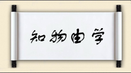 知物由学图片