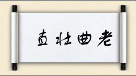 直壮曲老图片