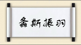 螽斯振羽图片