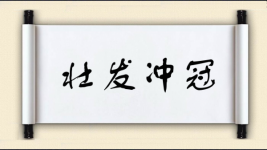 壮发冲冠图片