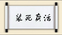 装死卖活图片