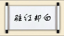 驻红却白图片