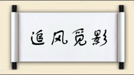 追风觅影图片